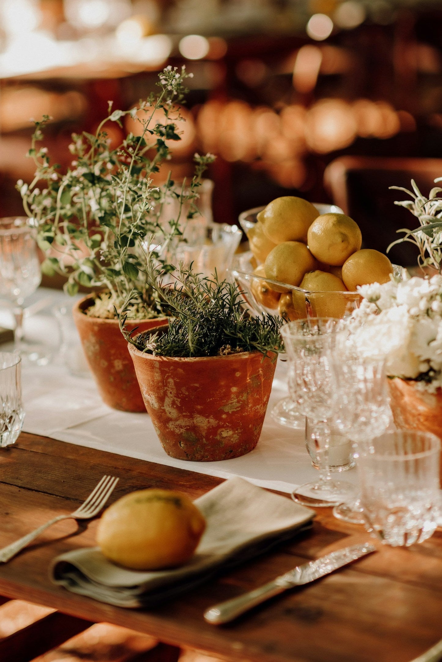Greenery in Terracotta Pots