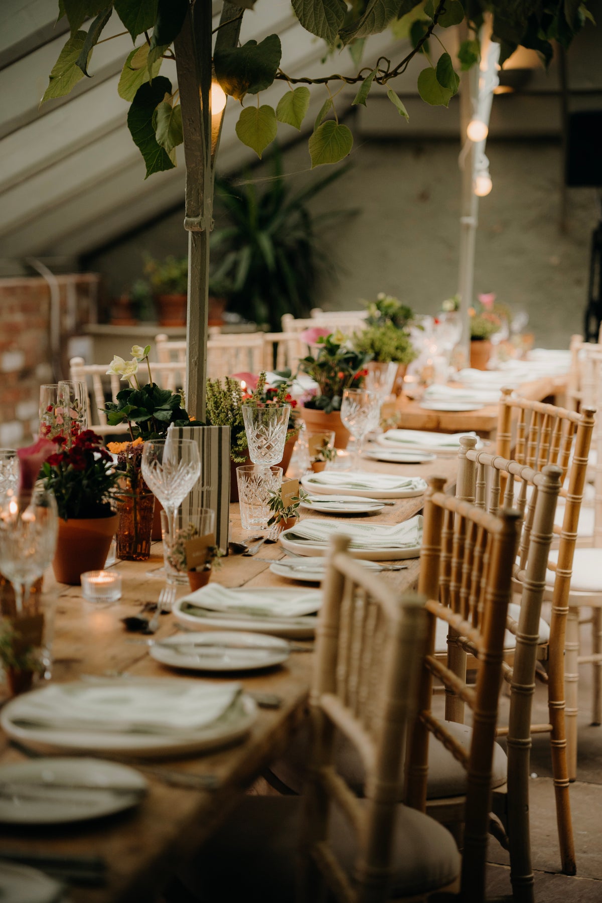 Greenery in Terracotta Pots (per table)