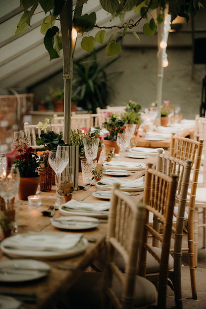 Greenery in Terracotta Pots (per table)