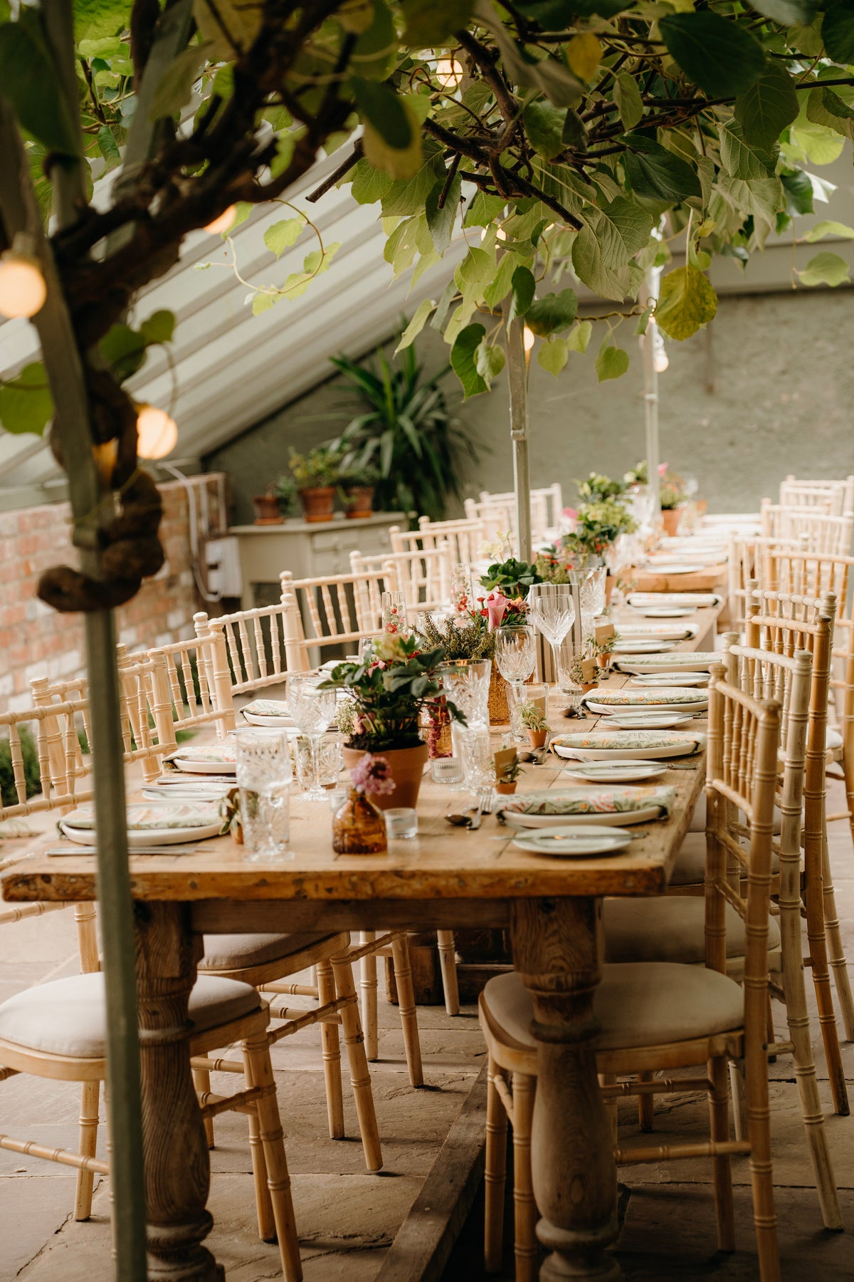 Greenery in Terracotta Pots (per table)