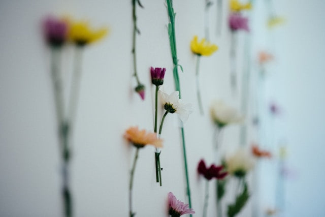 Floral Arched Backdrop (With single-stem flowers)